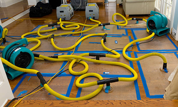Professional Water Damage Restoration technician working in East Springfield, OH